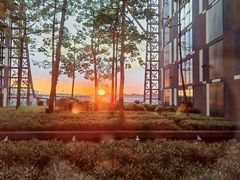 -樟宜机场皇冠假日酒店 （SG Clean） - IHG 旗下酒店