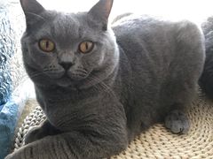 -Catmate·猫肥家润(金润铂宫店)