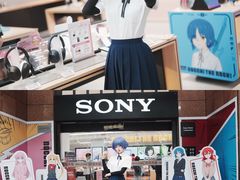 -Sony Store 索尼(上海淮海中路店)
