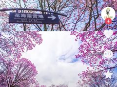 -九皇山景区