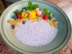 巴西莓酒酿酸奶碗-La Terre乐田(万象城店)