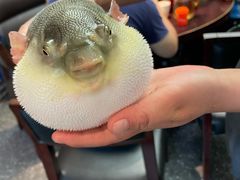 -永安鱼庄·镇江菜(东吴路店)