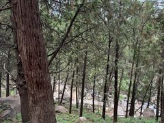 -泰山风景名胜区