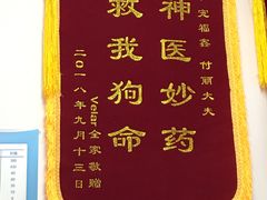 -宠福鑫动物医院(城北分院)