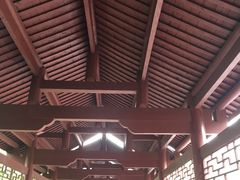 -重庆彩云湖湿地公园
