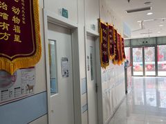 -中农国际动物医院24小时·猫科·骨科·急重症中心