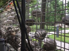 -王妈热卤·川味馆(海昌店)