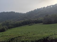 -敬亭山风景名胜区