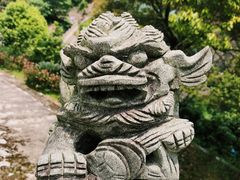 -九鲤湖风景区