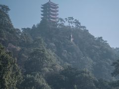 -缙云山景区