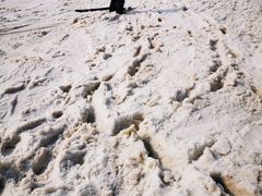 -北京万龙八易滑雪场