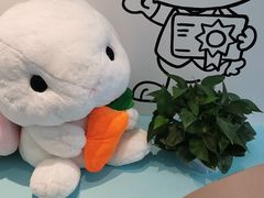 -科晓兔外教英文·数学思维·乐高编程·科学实验(怡山校区)