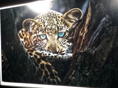 -罗红摄影艺术馆