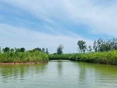 -泗洪洪泽湖湿地景区