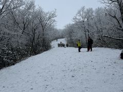 -安吉龙王山风景区
