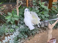 -南宫五洲植物乐园