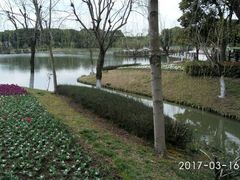 -上海鲜花港
