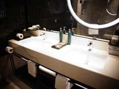 -新加坡乌节希尔顿酒店 (SG Clean)
