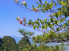 -大明山自然探索公园