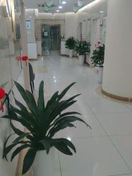 点击看大图 -新生植发·植养护一体