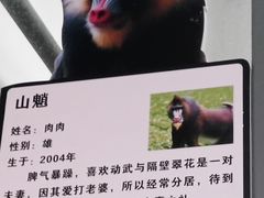 -西安秦岭野生动物园