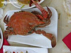 梭子蟹-海岛渔村大酒店(云霄路店)