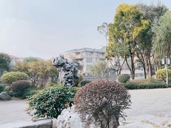 -顺峰山公园