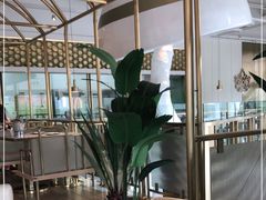 -金香匯晚茶(浑南店)