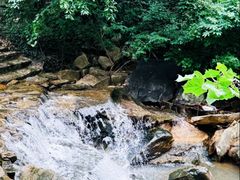 -连云港云龙涧原生态风景区
