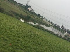 -紫颐香薰山谷景区