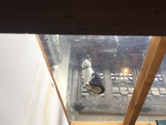 -猫的天空之城概念书店(杭州南宋御街店)