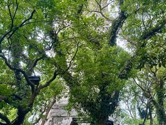 -江心屿景区
