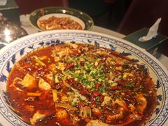 -新概念来凤鱼(璧山店)