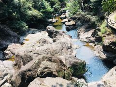 -花岩国家森林公园