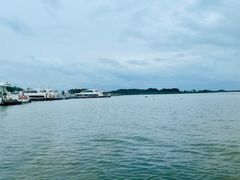 -莲花岛景区