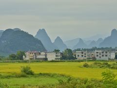 -会仙湿地