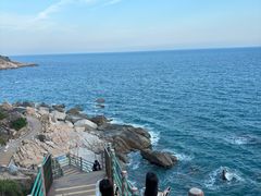 -广东惠东海龟国家级自然保护区