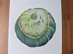 -八哥美术·成人美术画室(总校区)