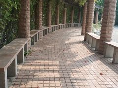 -南开大学滨海学院