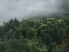 -含鄱口