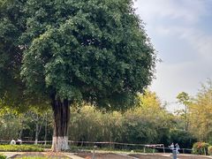 -厦门园林博览苑