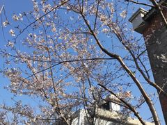 -金桥现代产业园区-停车场