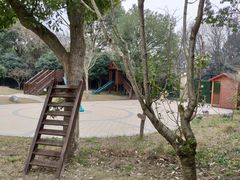 -杭州龙井幼儿园
