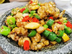 -古田会·肥肠鸡(古田店)