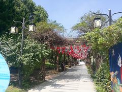 -白马涧龙池景区