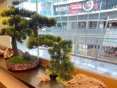 -七条鱼日本料理(远洋乐堤港店)