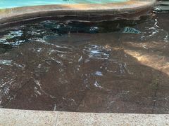 -碧水湾温泉
