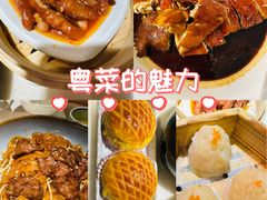 -陶陶居酒家(解放北路店)