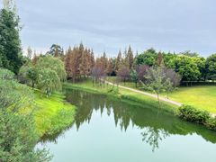 -眉山湿地公园(东坡区)