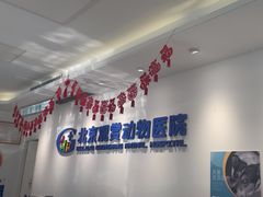 -北京观赏动物医院·24小时大型综合·猫专科·异宠专科